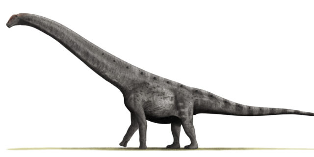 Argentinosaurus 2