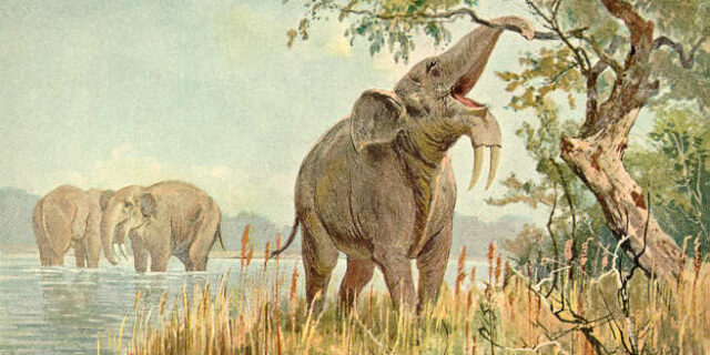 Dinotherium