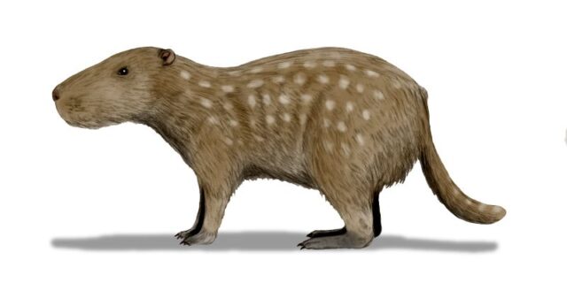 Josephoartigasia